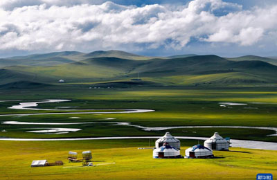  美丽中国丨秋染陈巴尔虎草原